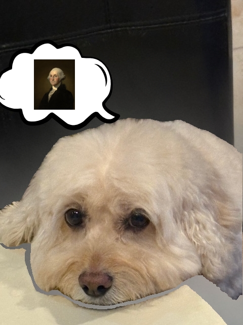 charlie washinton.jpg